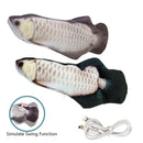 Peixe Sapeca - O companheiro diário do seu cãozinho