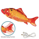 Peixe Sapeca - O companheiro diário do seu cãozinho